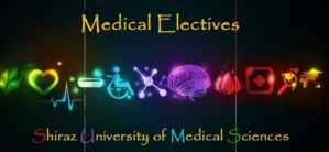 Grants in Medical Sciences to Iran