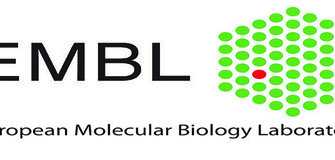 Fully funded Postdoctoral Fellowships at EMBL laboratories in Germany