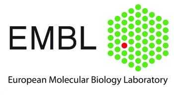 Discover the opportunities The European Molecular Biology Laboratory ...