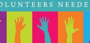 An opportunity to volunteer with the Young Leaders Council