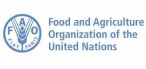 Fellowships for Graduates from FAO 2019