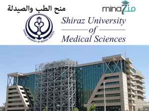 Scholarships in Medical Sciences in Iran 2019