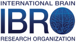 زمالات ممولة جزئيًا في مجال علوم التعلم تقدمها منظمة IBRO في سويسرا