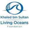  Khaled bin Sultan Foundation