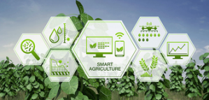 SFIAR Competition in Agricultural Research for Development to Win CHF 5’000