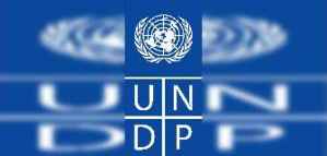 Job Opportunity at UNDP as an English Editor