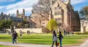 Postdoctoral Associates Fellowship at University of Yale 2021
