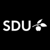 SDU Faculty of Humanities PhD International Fellowships in Denmark, 2020