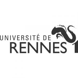 Business and Applied Economics, Université de Rennes 1, France