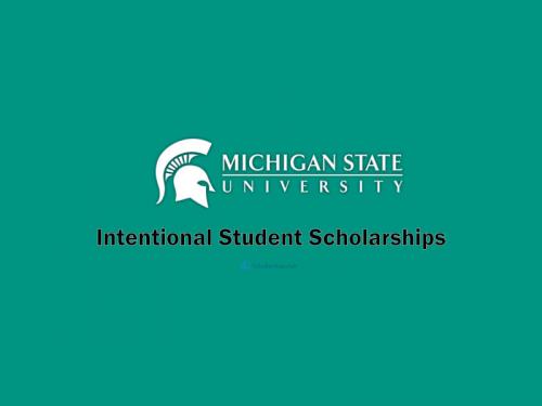 Michigan State University International Scholarships 2024