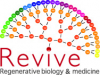LabEx Revive