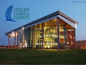 Impact international de la Texas A&M University, États-Unis 2022-2023