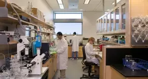 PhD Scholarship in Biomedical Engineering and Materials at QUT in Australia 