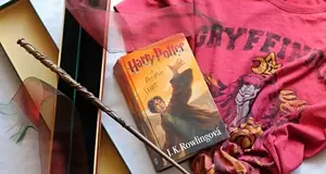 Undergraduate Scholarship in English Literature in Qeensland University in Australia