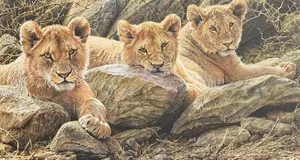 مسابقة أونلاين لفنان الحياة البرية وجائزة 10000 جنيه إسترليني من مؤسسة David Shepherd للحياة البرية