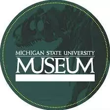 Partially Funded Residency Program in the Arts in the USA from the MSU Museum