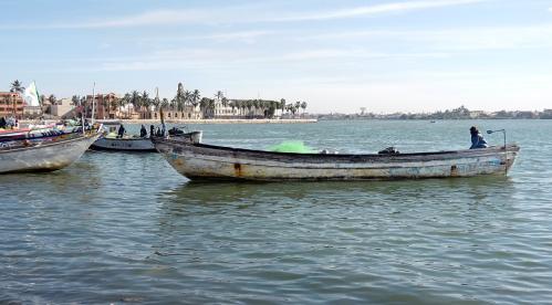 Bourse d’étude en médecine pour marocains au Sénégal 2023