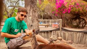 Free of charge: Wildlife Orphanage Animal Manager