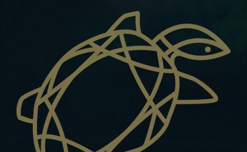 The Golden Turtle 2026 – Creative Competitions