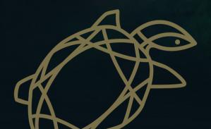 La Tortue d'Or 2026 – Concours de Créativité