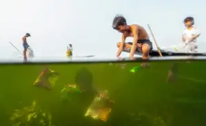 Concours photo de la Journée mondiale de l'eau 2026