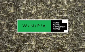 Prix ​​mondiaux de photographie de nature (WNPA) 2027