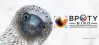 Bird Photographer of the Year (BPOTY)